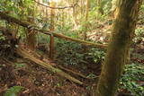 筑前 高鳥居城の写真