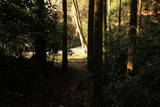 筑前 高鳥居城の写真