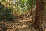 筑前 高鳥居城の写真