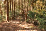 筑前 高鳥居城の写真