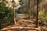 筑前 高鳥居城の写真