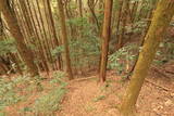 筑前 鷹取山城の写真
