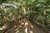 筑前 岳山城の写真