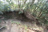 筑前 天判山城の写真