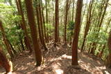 筑前 鶫岳城の写真