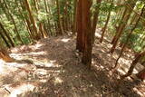 筑前 鶫岳城の写真