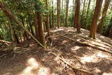 筑前 鶫岳城の写真