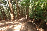 筑前 鶫岳城の写真