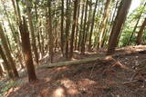 筑前 鶫岳城の写真