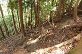 筑前 鶫岳城の写真