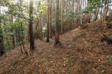 筑前 鶫岳城の写真