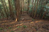 筑前 鶫岳城の写真