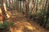 筑前 鶫岳城の写真