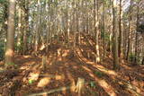 筑前 鶫岳城の写真