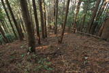 筑前 鶫岳城の写真