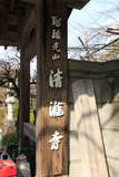 筑前 鶫岳城の写真