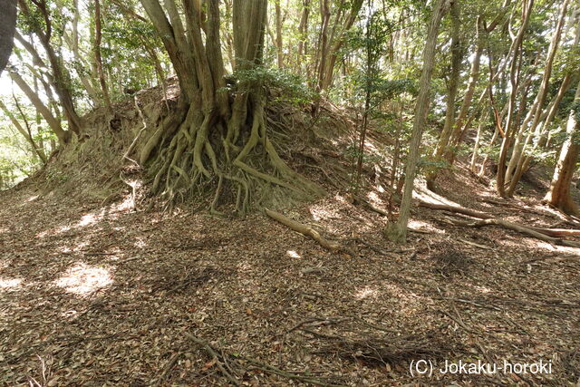 筑前 莵道岳城の写真