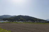 筑前 莵道岳城の写真