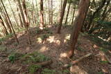 筑前 莵道岳城の写真