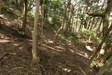 筑前 莵道岳城の写真