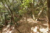 筑前 莵道岳城の写真