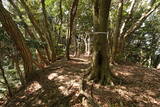 筑前 莵道岳城の写真