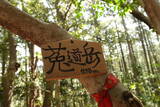 筑前 莵道岳城の写真