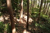 筑前 莵道岳城の写真