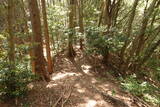 筑前 莵道岳城の写真
