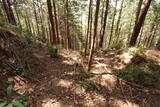 筑前 莵道岳城の写真