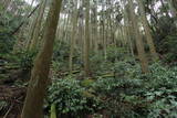 筑前 鷲ヶ岳城の写真