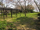 筑前 山鹿城の写真
