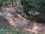 筑前 岡城の写真