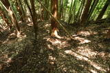 筑前 湯原草場城の写真