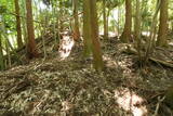 筑前 湯原草場城の写真