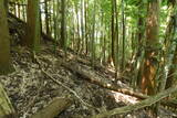筑前 湯原草場城の写真