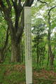 出羽 山崎館の写真