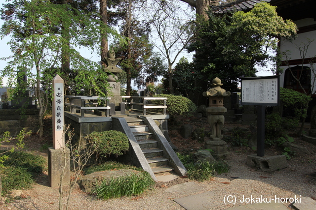 出羽 余目館の写真