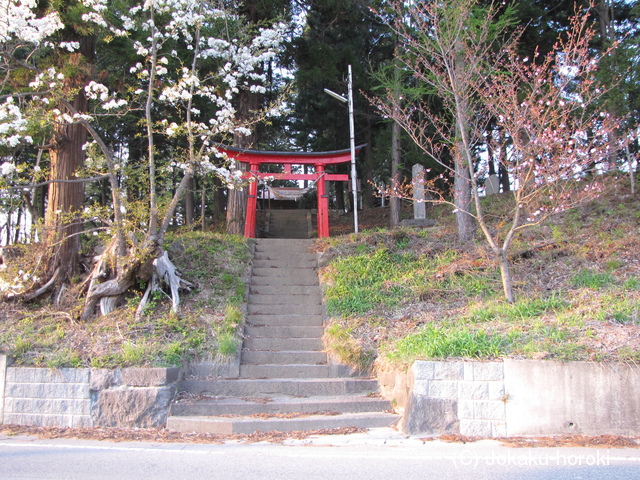 出羽 浅岡館の写真