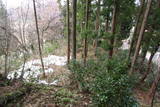 出羽 旦金森館の写真