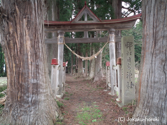 出羽 餌釣館の写真