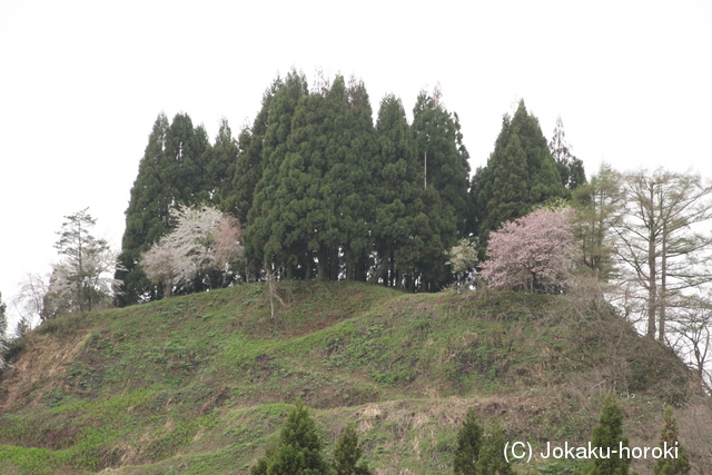 出羽 源氏楯(鮭川村)の写真