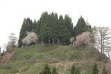 出羽 源氏楯(鮭川村)の写真