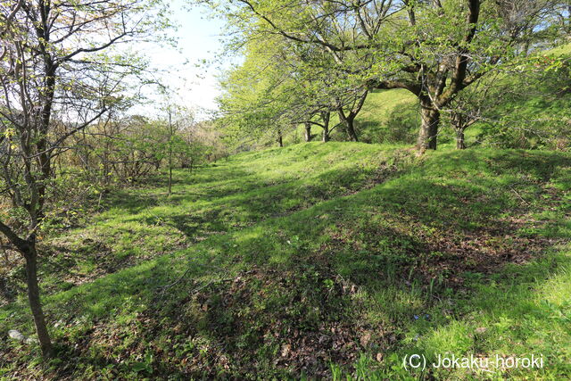 出羽 羽川新館の写真