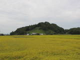 出羽 樋ノ口城の写真