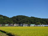 朝日山城写真