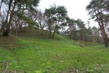 出羽 檜山城の写真