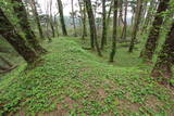 出羽 檜山城の写真