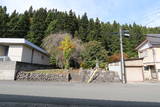 出羽 本道寺館の写真