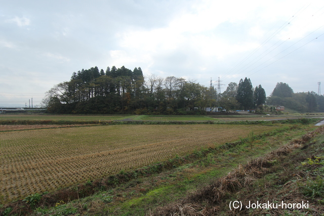 出羽 井手館の写真